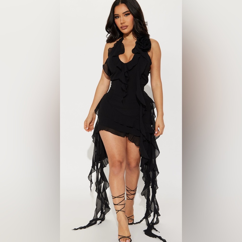 Fashion Nova Ruffles and Roses Mini Dress